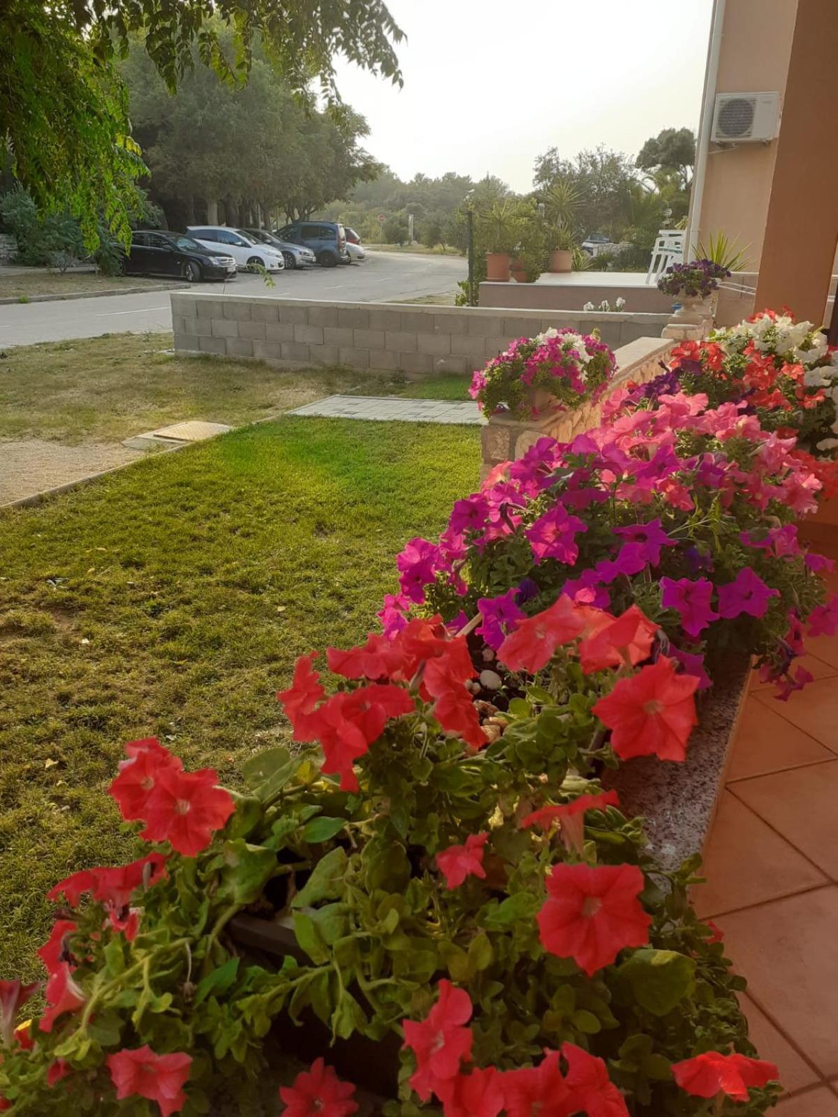 Apartmani Ruza Novalja Εξωτερικό φωτογραφία